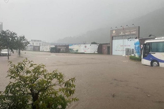 Bình Định: Mưa lớn, nhiều khu vực ở TP Quy Nhơn bị ngập sâu