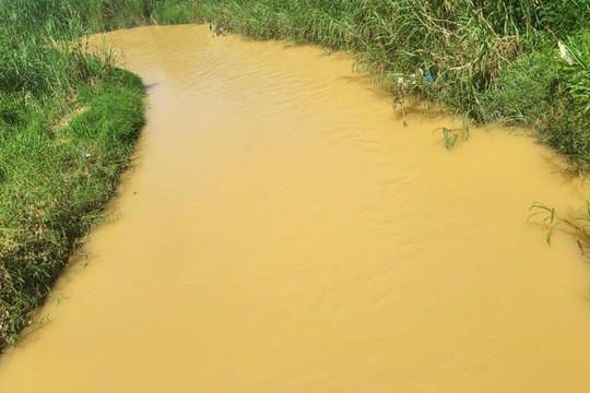 Lâm Đồng: Thành ủy Bảo Lộc chỉ đạo kiểm tra, xử lý ô nhiễm nguồn nước suối Đại Lào, sông Đại Bình