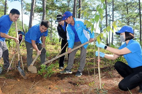 Kiên Giang: Trồng hơn 15 triệu cây xanh tăng độ che phủ rừng