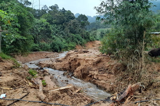 Quảng Nam kiến nghị Chính phủ hỗ trợ khắc phục hậu quả bão, lũ