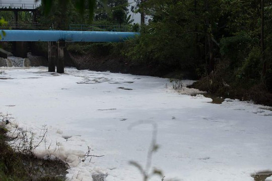 Bà Rịa – Vũng Tàu: Khảo sát nguyên nhân gây ô nhiễm sông Dinh và suối Giao Kèo