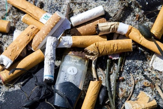Chất thải thuốc lá - Nguồn gây ô nhiễm môi trường