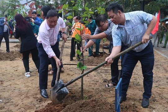 Đà Nẵng: Quận Sơn Trà kêu gọi xã hội hóa trồng cây xanh tại công viên