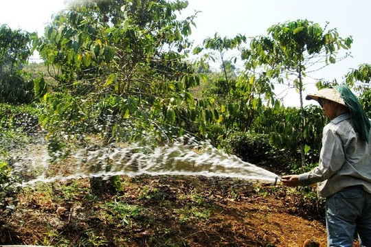 Đồng Nai chủ động nguồn nước tưới cho mùa khô