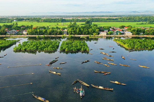 Thừa Thiên – Huế: Nỗ lực phục hồi, bảo tồn các hệ sinh thái tự nhiên
