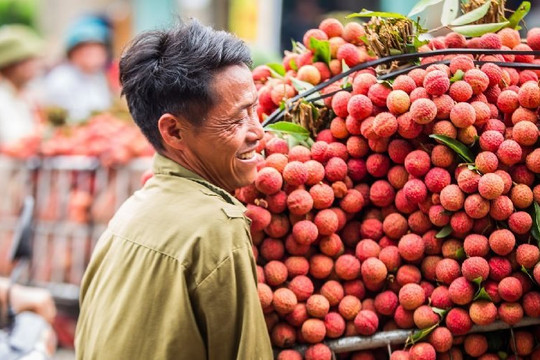 Xuất khẩu trái cây kỳ vọng đạt 4 tỷ USD trong năm 2023