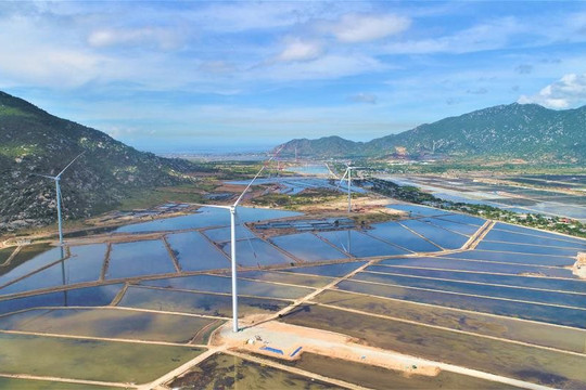 Ninh Thuận: Dự án điện gió trên đất liền được tài trợ vốn 25 triệu USD