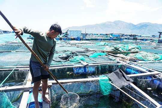 Khánh Hòa: Triển khai Đề án Bảo vệ môi trường trong hoạt động thủy sản giai đoạn 2021 - 2030