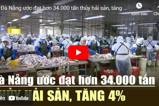 [VIDEO] Đà Nẵng ước đạt hơn 34.000 tấn thủy hải sản, tăng 4%