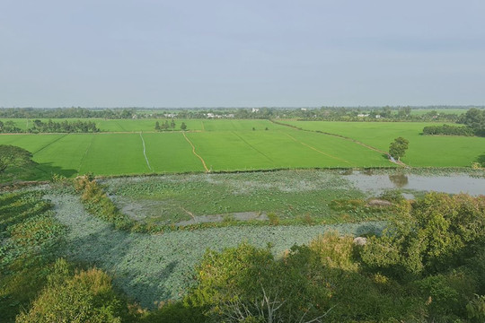 Phát triển Đồng bằng sông Cửu Long bền vững, gắn với bảo vệ môi trường
