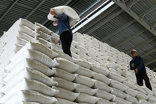 Chính phủ hỗ trợ hơn 12.000 tấn gạo cho người dân dịp Tết Quý Mão