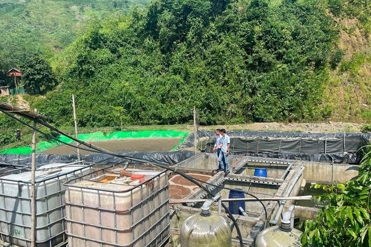 Sơn La: Tăng cường kiểm soát ô nhiễm từ chế biến nông sản dịp Tết Nguyên đán