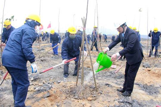 Quảng Ninh: Phấn đấu trồng 2.000 ha cây có giá trị kinh tế cao trong năm 2023