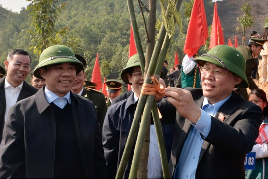 Chủ tịch Quốc hội dự Lễ trồng cây ở Tuyên Quang