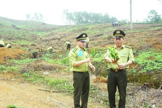 Thái Nguyên tổ chức Tết trồng cây Xuân Quý Mão 2023