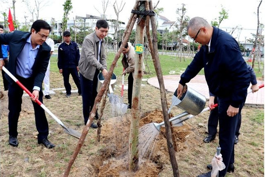 Phú Yên phấn đấu trồng 3,7 triệu cây xanh
