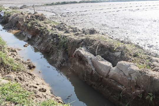 Hà Tĩnh: Nâng cấp cơ sở hạ tầng đảm bảo nguồn nước phục vụ sản xuất nông nghiệp