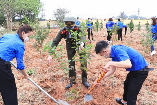 Thái Nguyên trồng mới 3.435ha rừng trong dịp Tết trồng cây xuân Quý Mão