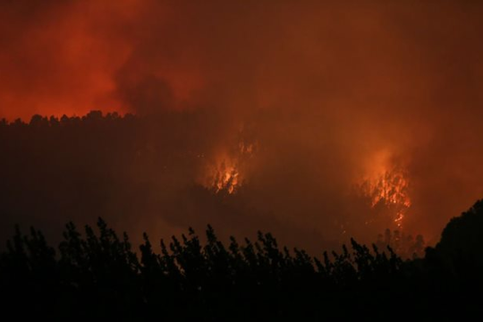 Cháy rừng gây thiệt hại nghiêm trọng tại  Chile
