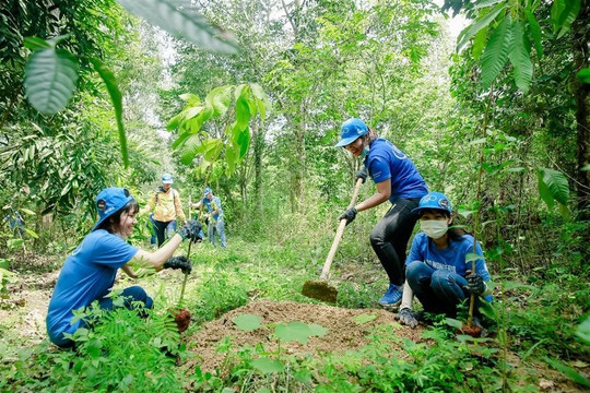 Đồng Nai: Huyện Định Quán trồng trên 19,5 ngàn cây xanh trong năm 2022