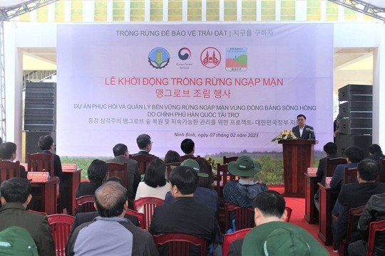 Ninh Bình: Khởi động trồng rừng ngập mặn do Chính phủ Hàn Quốc tài trợ