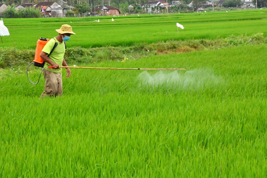 Quảng Ninh: Siết chặt quản lý phân bón, thuốc bảo vệ thực vật