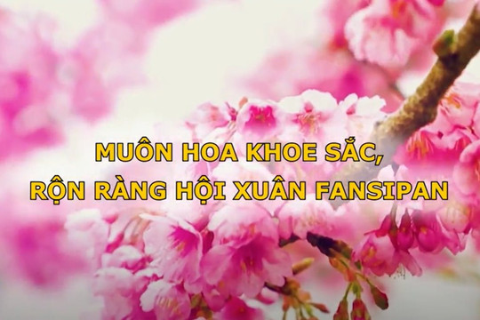 [VIDEO] Muôn hoa khoe sắc, tưng bừng hội xuân Fansipan