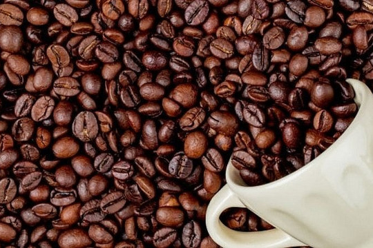 Xuất khẩu cà phê giảm 38,1% trong tháng 1/2023