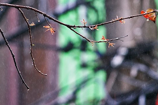 Dự báo thời tiết ngày 17/2: Bắc Bộ mưa rào rải rác, trời rét