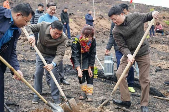 Quảng Ninh: Lan tỏa phong trào 'Tết trồng cây' tại huyện Ba Chẽ