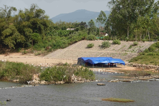Phù Cát (Bình Định): Xác định nguyên nhân gây sạt lở bờ sông La Tinh