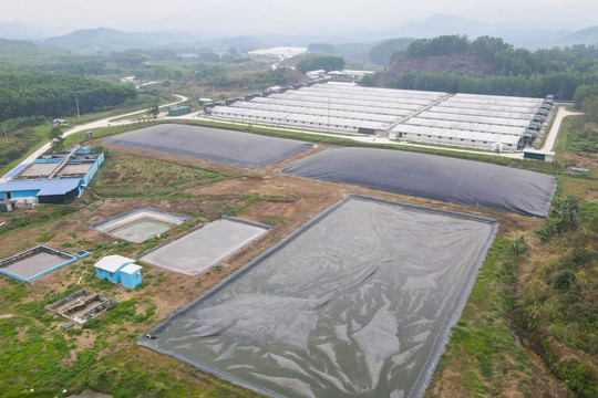Bắc Giang: Công ty chăn nuôi Sơn Động bị xử phạt 500 triệu đồng vì vỡ đường ống nước thải gây ô nhiễm môi trường