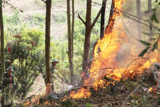 Bắc Giang: Nhiều địa phương nguy cơ cháy rừng ở cấp cao