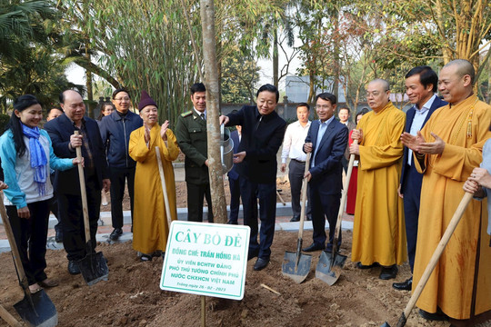 Phó Thủ tướng Trần Hồng Hà phát động dự án trồng cây hướng tới Net Zero