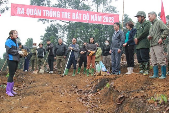 Yên Bái: Huyện Trấn Yên ra quân trồng măng tre Bát Độ năm 2023