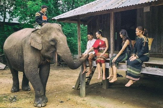 Đắk Lắk truyền thông điệp du lịch thân thiện với voi
