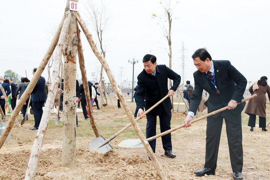 Bắc Giang: Trồng hơn 1,1 nghìn héc-ta rừng và hàng trăm cây phân tán trên toàn tỉnh