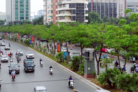 Hà Nội ban hành kế hoạch trồng mới 500.000 cây xanh đô thị