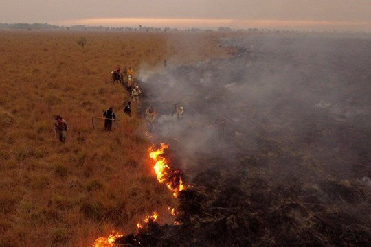 Argentina cháy hơn 6.000ha rừng do nắng nóng, hạn hán kéo dài liên tục