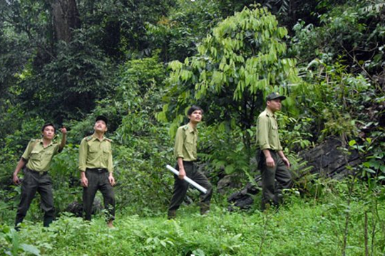 Đắk Nông: Phấn đấu năm 2025 đạt trên 40% tỷ lệ che phủ rừng