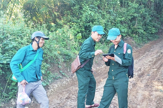 Quảng Nam: Chủ động các phương án phòng, chống cháy rừng mùa khô
