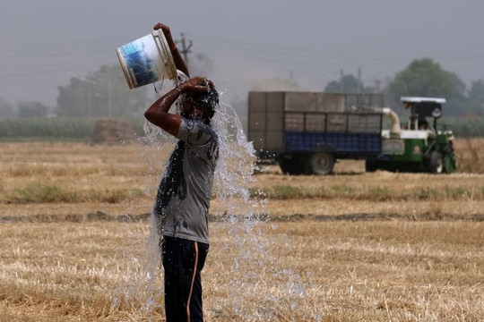 Ấn Độ: Nắng nóng kỷ lục khiến con người chạm đến "giới hạn sinh tồn"