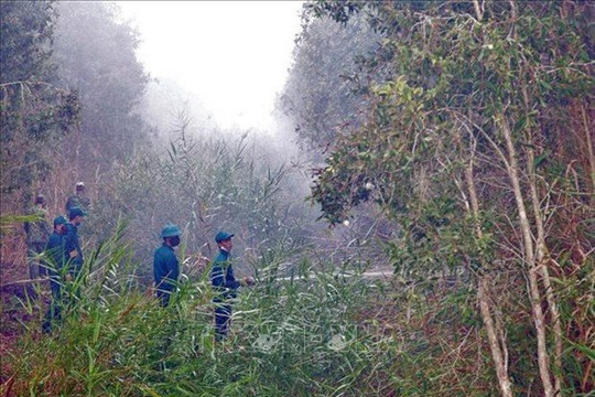 Cà Mau: Chủ động phòng, chống cháy rừng trong cao điểm khô hạn