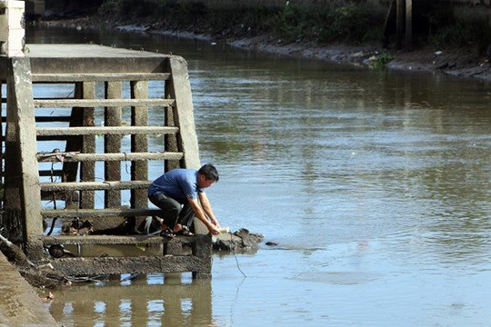 Tháng 4, xâm nhập mặn có thể ảnh hưởng đến lấy nước ở Đồng bằng sông Cửu Long