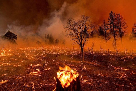 Lượng khí thải carbon tăng mạnh do cháy rừng ở Bắc bán cầu