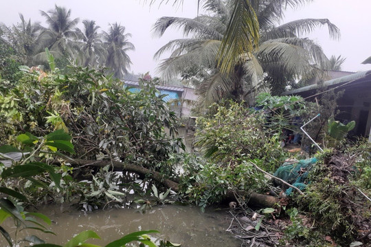 Tiền Giang: Gần 100 căn nhà cùng nhiều vườn sầu riêng hư hại nặng vì mưa giông