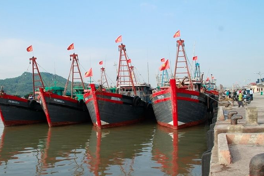 Thanh Hóa: Triển khai các biện pháp chống đánh bắt thủy sản trái phép
