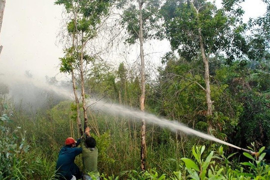 Cà Mau: Nhiều diện tích rừng ở U Minh Hạ cảnh báo cấp độ cháy cực kỳ nguy hiểm
