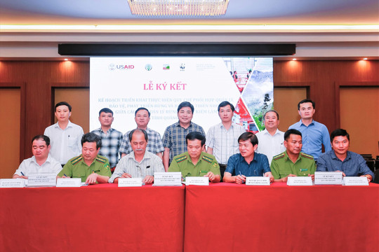 Quảng Nam: Phối hợp quản lý bảo vệ, phát triển rừng và bảo tồn thiên nhiên