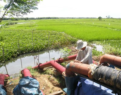 Nghệ An: Nắng nóng đầu mùa, nhiều diện tích lúa ở huyện Quế Phong bị thiếu nước